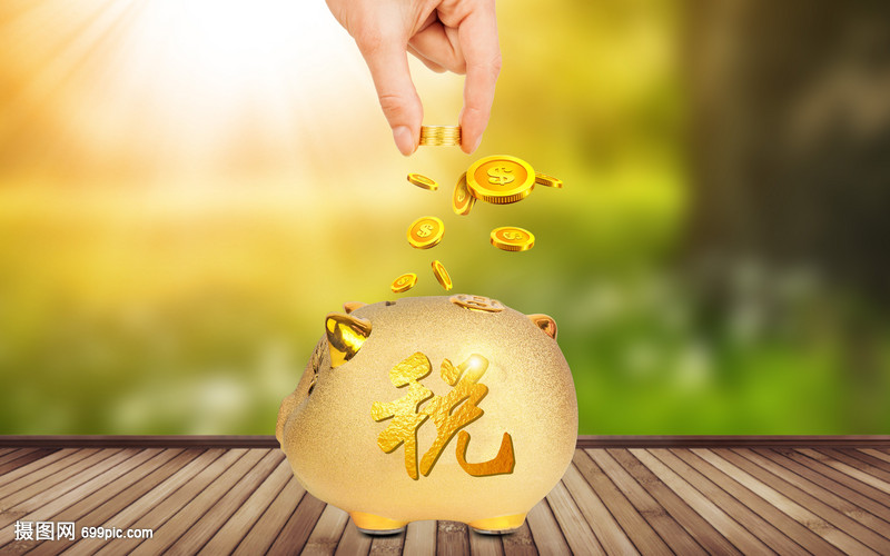 tp钱包怎么看到我的币—tp钱包怎么看钱包地址：tp钱包如何查看我的币